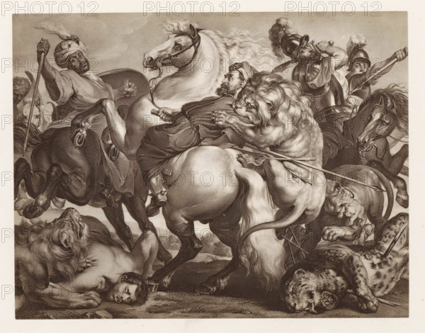 Photo reproduction of a print depicting a lion hunt, photograph, reproduction, page, after print by