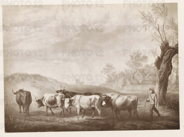 Photo reproduction of a print after a painting, depicting a shepherd with a herd of cows,