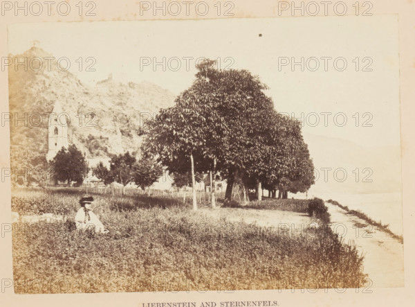 View of the bank of the Rhine and in the distance presumably Schloss Liebenstein, Liebenstein and