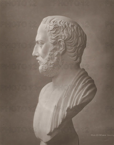 Portrait bust of Thucydides, page, photomechanical print, photographer: Charles David Winter,