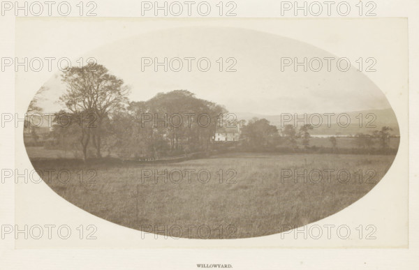 Willowyard, photograph, page, c. 1886 - in or before 1896, photographer, paper, platinum process,