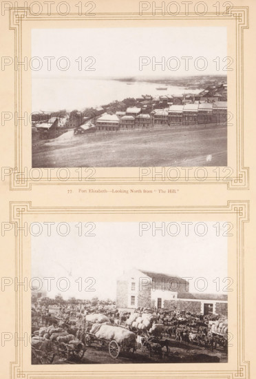 Mossel Bay, Port Elizabeth-looking North from 'the hill', page, photomechanical print, inscription: