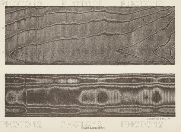 Two transfers from a screen printing frame, page, photomechanical print, inscription: