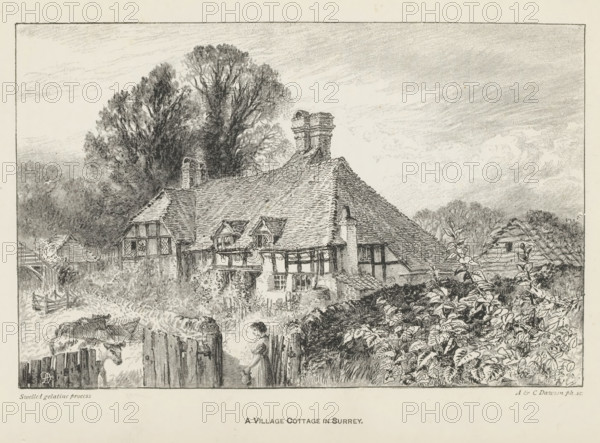 A village cottage in Surrey, reproduction, page, photomechanical print, inscription: 'AD',