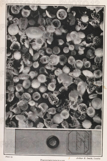 Photomicrograph, Microscope image of crystals and the container with these crystals in full size,