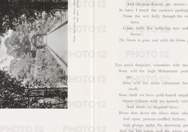 Path (presumably) in a rose garden, page, photomechanical print, inscription: ''Rose that down the