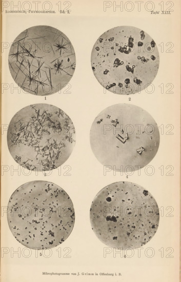 Six microscopic enlargements of minerals, page, photomechanical print, Image 1 is gypsum crystal, 2