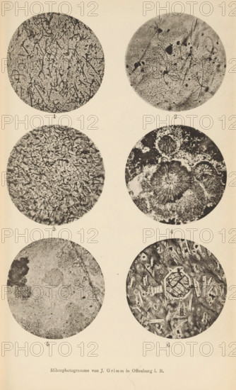 Six microscopic enlargements of minerals, page, photomechanical print, Image 1 is micaceous lime in