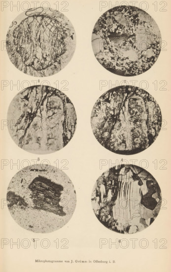 Six microscopic enlargements of minerals, page, photomechanical print, Image 1 is schist, 2 is