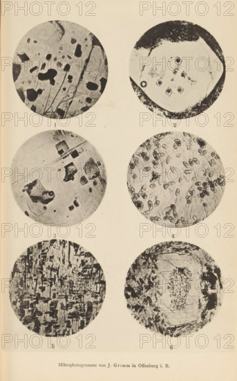 Six microscopic enlargements of minerals, page, photomechanical print, Image 1 is labradorite, 2 is