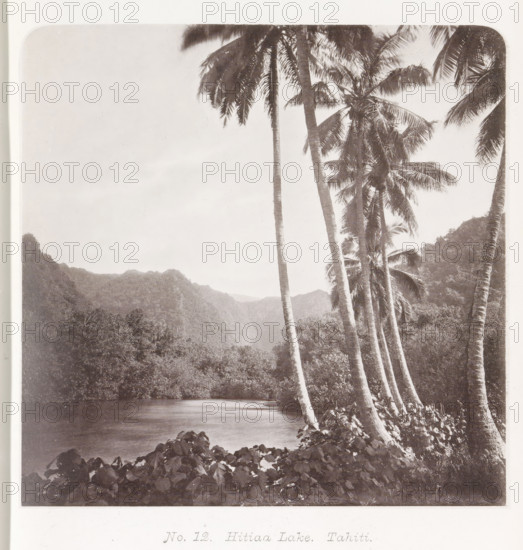 View of a lake in Tahiti, Hitiaa Lake. Tahiti, page, photomechanical print, number: 'No. 12.',