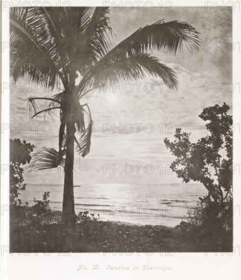 Sunrise in Tiarrapu, View of the Pacific Ocean at sunrise, page, photomechanical print, number: 'No