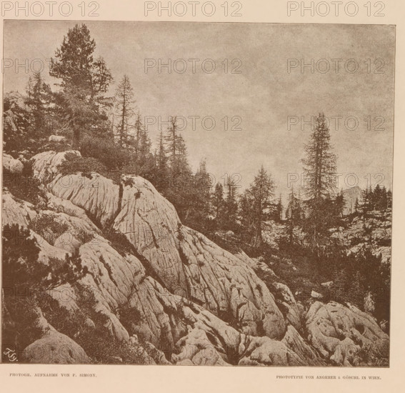 Slope in Austria, Rundhöcker am Eingange der Wiesalpe, page, photomechanical print, number: 'V.',