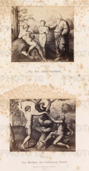 Photo reproductions of prints after frescoes depicting Adam and Eve by Raphael for the loggias in