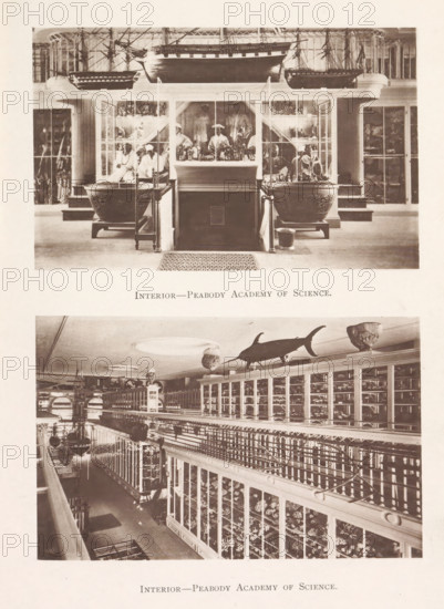 Interior-Peabody Academy of Science, Interior of two halls of the Peabody Academy of Science in