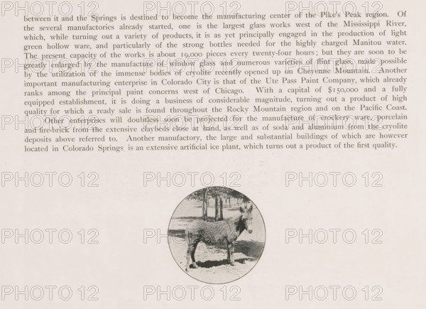 Easel, page, photomechanical print, Colorado, cliché maker: New York Photo-Gravure Company, New