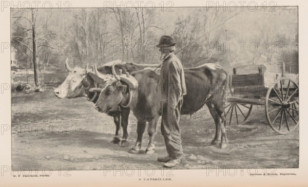 Farmer with two cows pulling a cart, A Catskiller, page, photomechanical print, photographer: DF