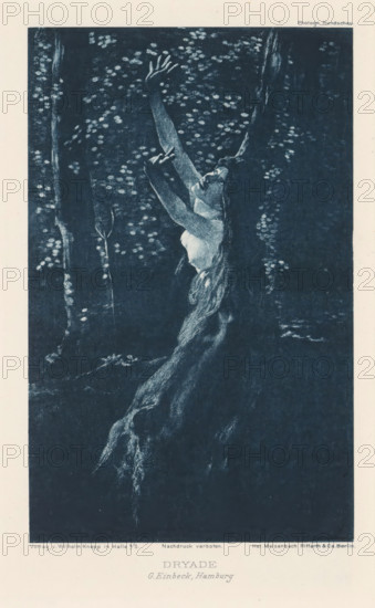View of a tree nymph, Dryad, page, photomechanical print, photographer: George Einbeck, cliché