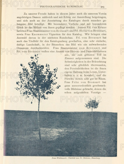 Zum Wettbewerb, View of two trees in a field, page, photomechanical print, inscription: 'Titelbild