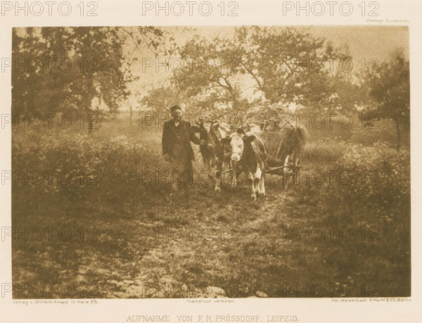 Farmer with a hay wagon, page, photomechanical print, photographer: FR Prössdorf, Leipzig, cliché