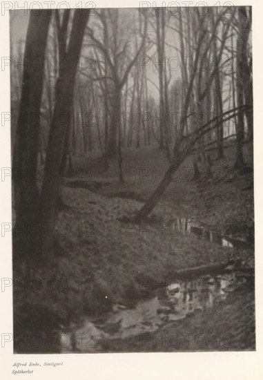 Stream in a forest, Spätherbst, page, photomechanical print, photographer: Alfred Enke, cliché