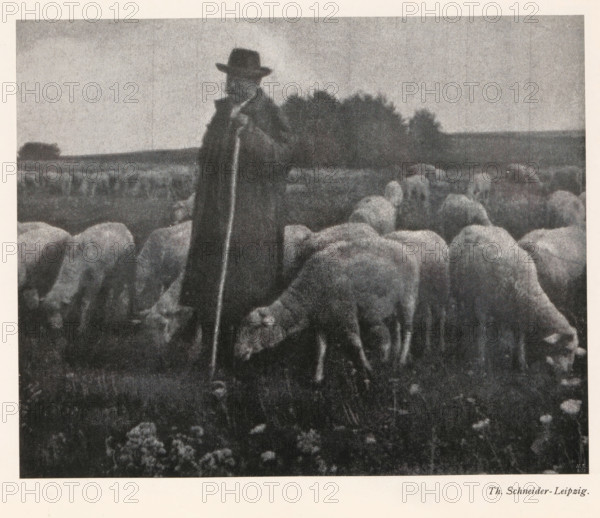 Shepherd with flock, page, photomechanical print, photographer: Th. Schneider, cliché maker:
