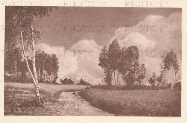 Landscape, with a birch in the foreground, page, photomechanical print, photographer: Otto Erhardt,