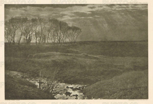 Landscape with trees, 'Sunshine and Rain', page, photomechanical print, photographer: Alfred