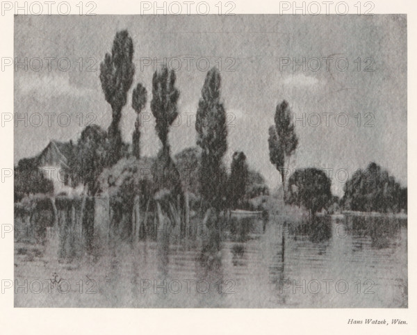 Landscape with trees, page, photomechanical print, monogram: 'AG', photographer: Hans Watzek,