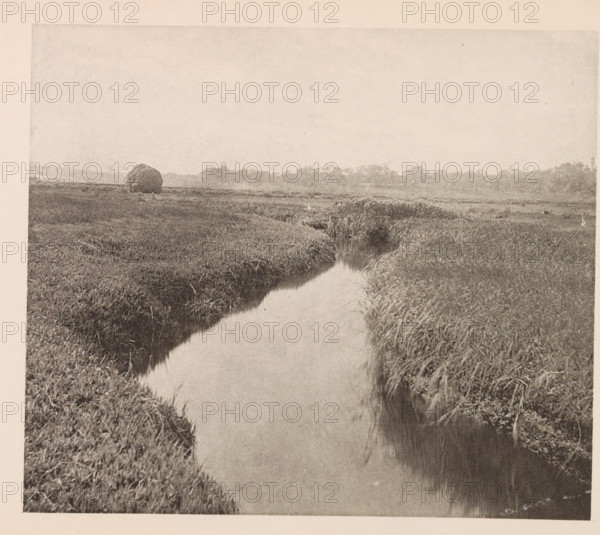 View of the swamp at Cambridge, page, photomechanical print, photographer: William James Stillman,