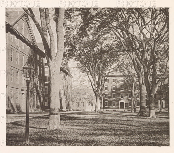 View of buildings of Harvard College in Cambridge, page, photomechanical print, photographer: