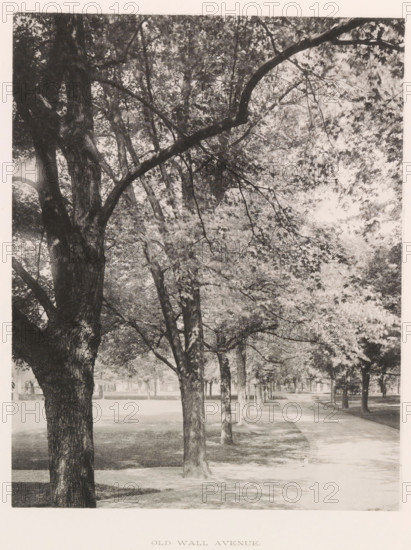 Old wall avenue, photograph, page, photographer: Edward H. Hart, United States Naval Academy,