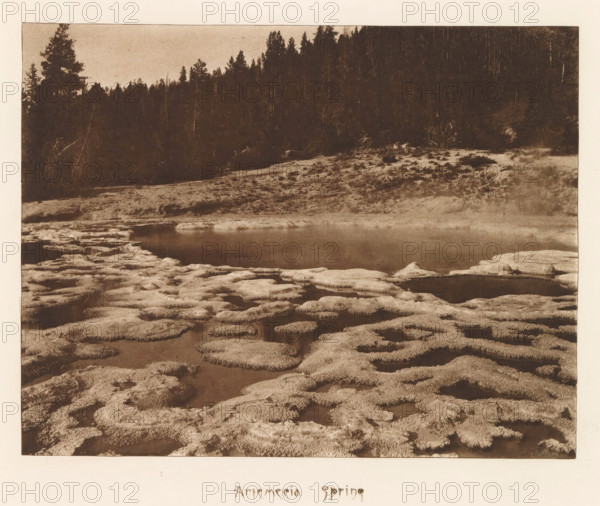 Artemesia Spring, page, photomechanical print, photographer: Frank Jay Haynes, Yellowstone National