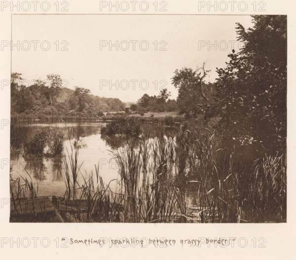 View of a pool near Sleepy Hollow, page, photomechanical print, inscription: ''Sometimes sparkling
