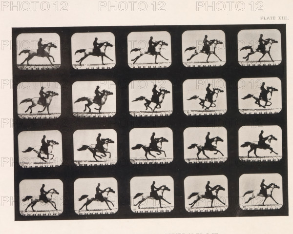 Twenty shots of a running horse, Mohammed, -Running. Stride, 15 Ft, 9 In., page, photomechanical