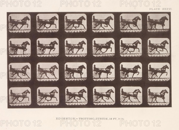 Edgerton, -Trotting. Stride, 18 Ft, 3 In, Twenty-four shots of a trotting horse with a cart behind