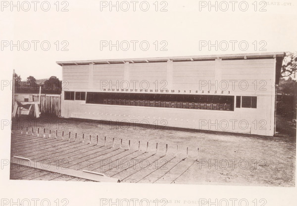 View of the 24 cameras in position, Setup with photo cameras to capture a horse in motion, page,