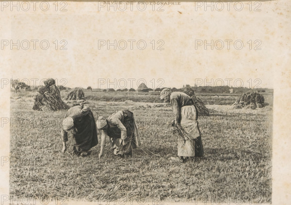 Three unknown women working in the fields, probably gleaners, Les Glaneuses, page, photomechanical