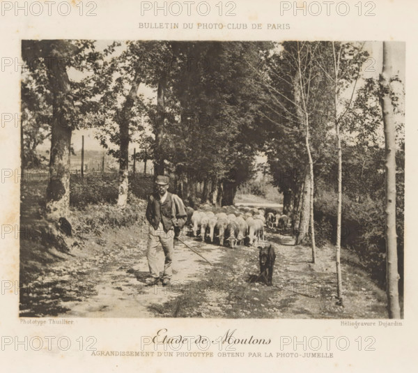 Shepherd with flock of sheep on a country road, Etude de Moutons, page, photomechanical print,