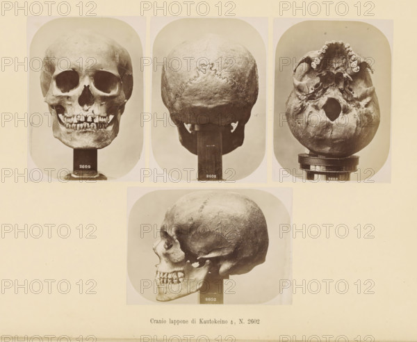 Four images of a Sami male skull, Cranio lappone, di Kautokeino ?, No. 2602, page, Top left a front