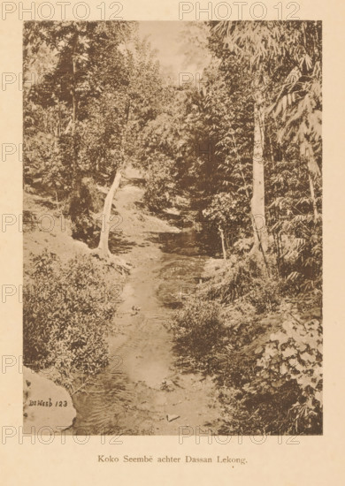 Koko Seembe behind Dassan Lekong, View of a water in a wooded area, page, photomechanical print,