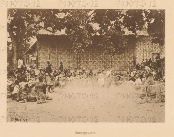 View of a group of unknown persons in a circle before a cockfight, Cockfight, page, photomechanical