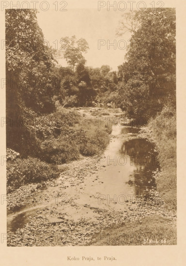 Koko Praja, te Praja, View of a river in a wooded area, page, photomechanical print, maker: