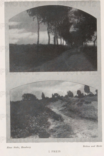 Birken und Heide, Montage of two landscapes, birch trees and a heath, page, photomechanical print,