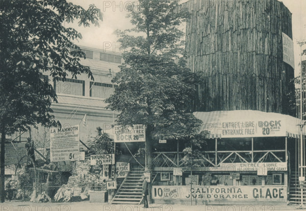 View of a tree trunk at the Antwerp World Exhibition in 1894, Arbre de Californie, Exposition