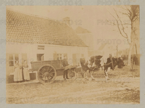 Farmer with a cart pulled by a cow, photograph, page, c. 1888 - in or before 1893, photographer,