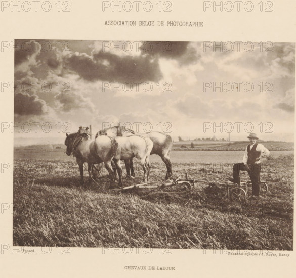 Farmer in the field with work horses, Chevaux de labour, page, photomechanical print, inscription: