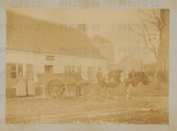 Farmer with a cart pulled by a cow, photograph, page, c. 1888 - in or before 1893, photographer,