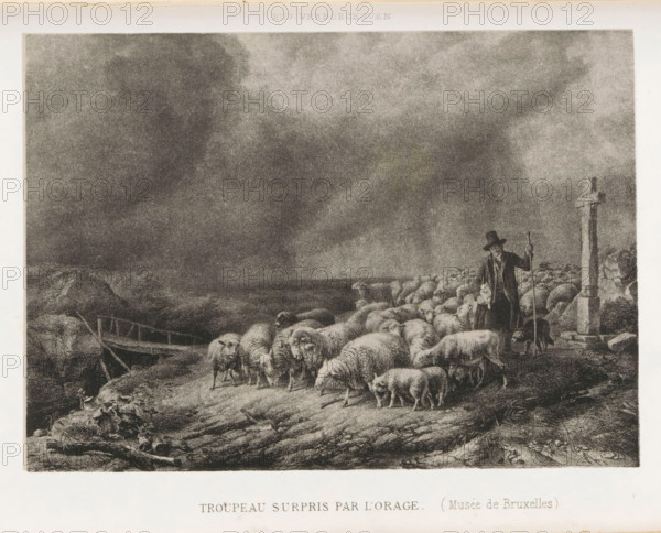 Reproduction of Flock of sheep surprised by the thunderstorm by Eugène Joseph Verboeckhoven,