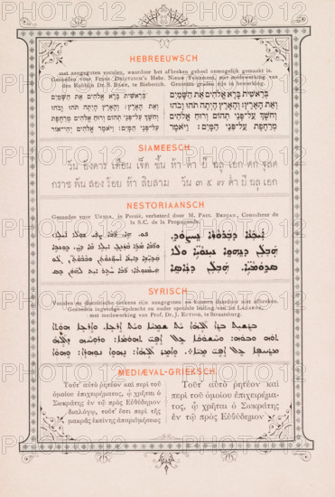 Vignette with advertising message with decorated edge, page, photomechanical print, inscription: